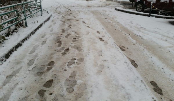 Воронеж завалило мокрым снегом.