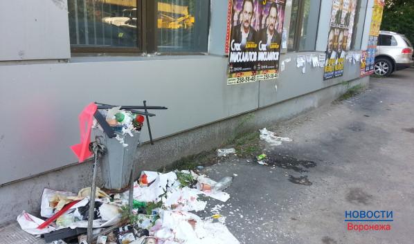 Облик центра Воронежа больше всего портит незаконная реклама и мусор.