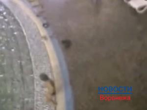Мальчик утонул в аквапарке Воронежа.
