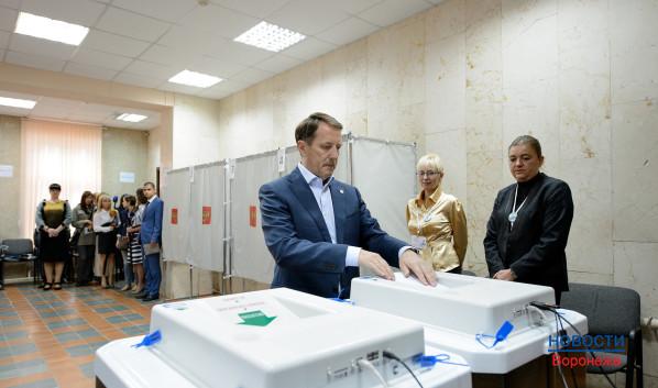 Алексей Гордеев принял участие в голосовании.