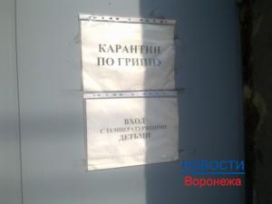 Карантин по гриппу.