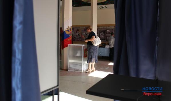 В Воронежской области проходят выборы.