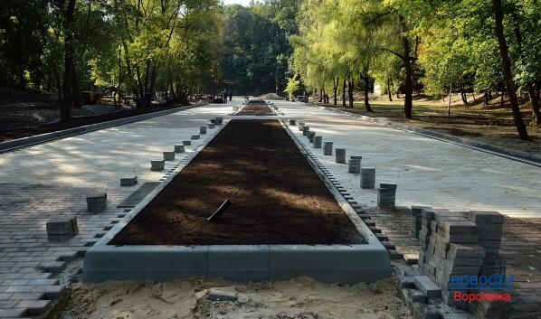 В Воронеже продолжается реконструкция парка «Динамо».