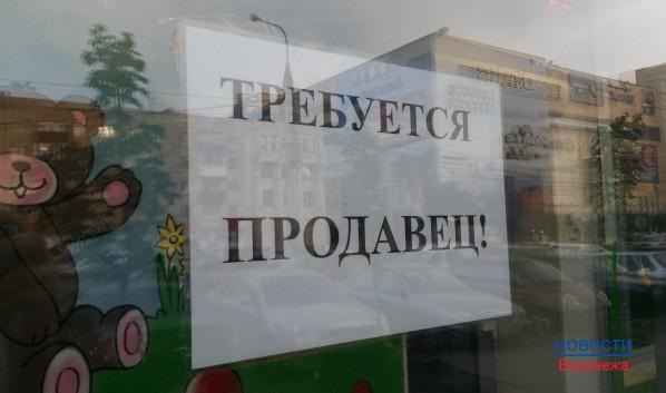 Мигранты находят работу в Воронеже.
