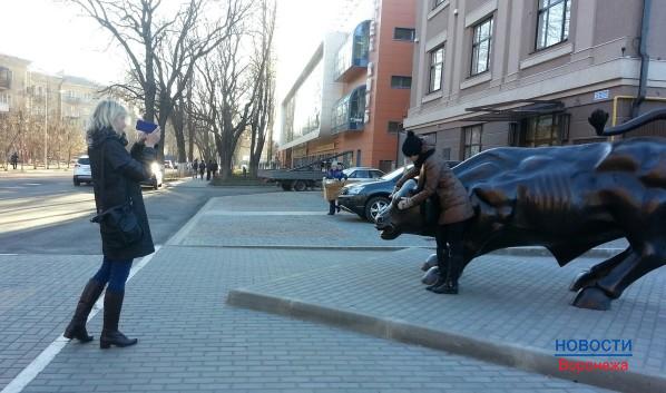 Воронежцы фотографируются около быка на улице Карла Маркса