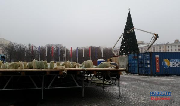 В Воронеже наряжают главную городскую ёлку.