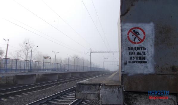 В Воронежской области пройдёт железнодорожная дорога в обход Украины.