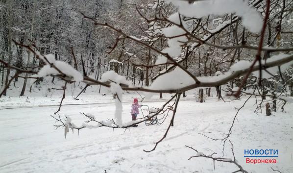 В Воронеже пройдёт снегопад.