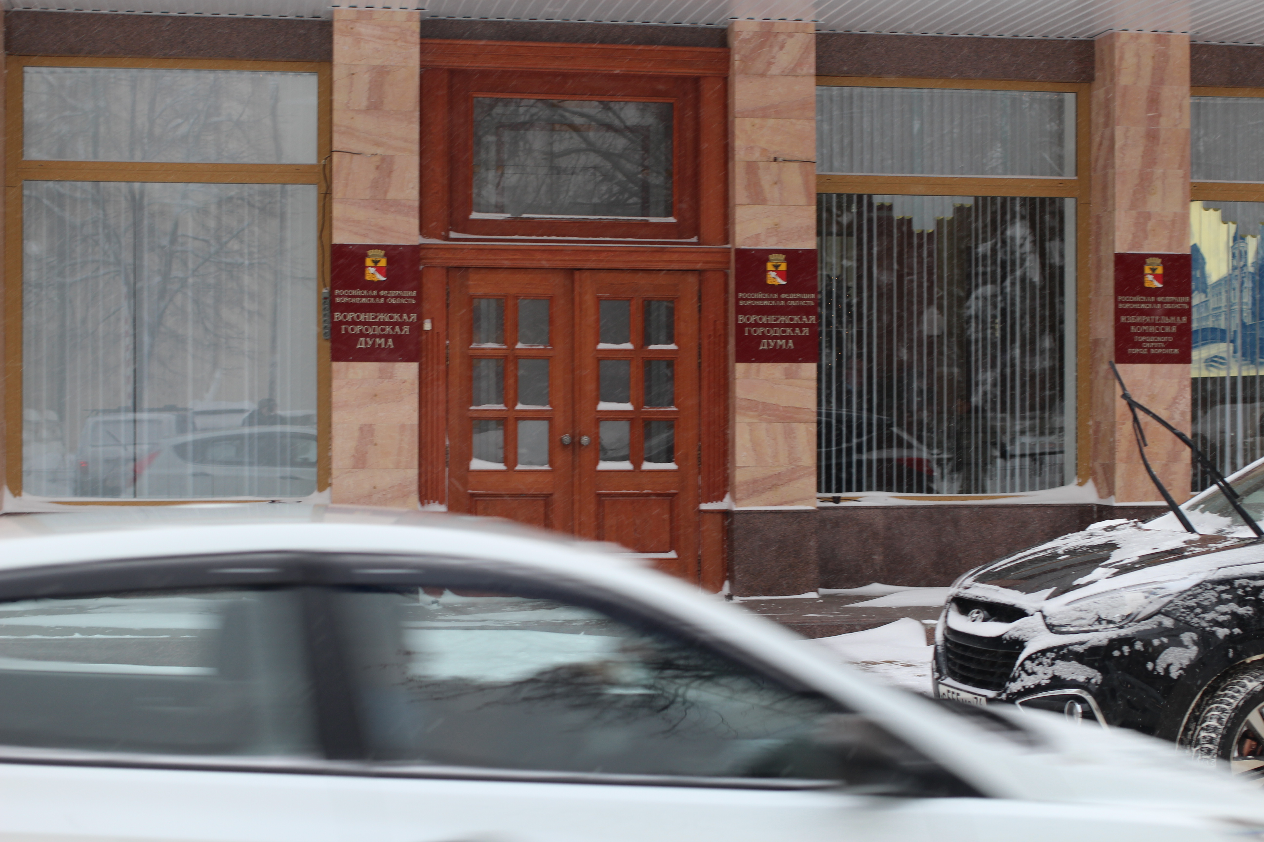 Воронежская городская Дума.