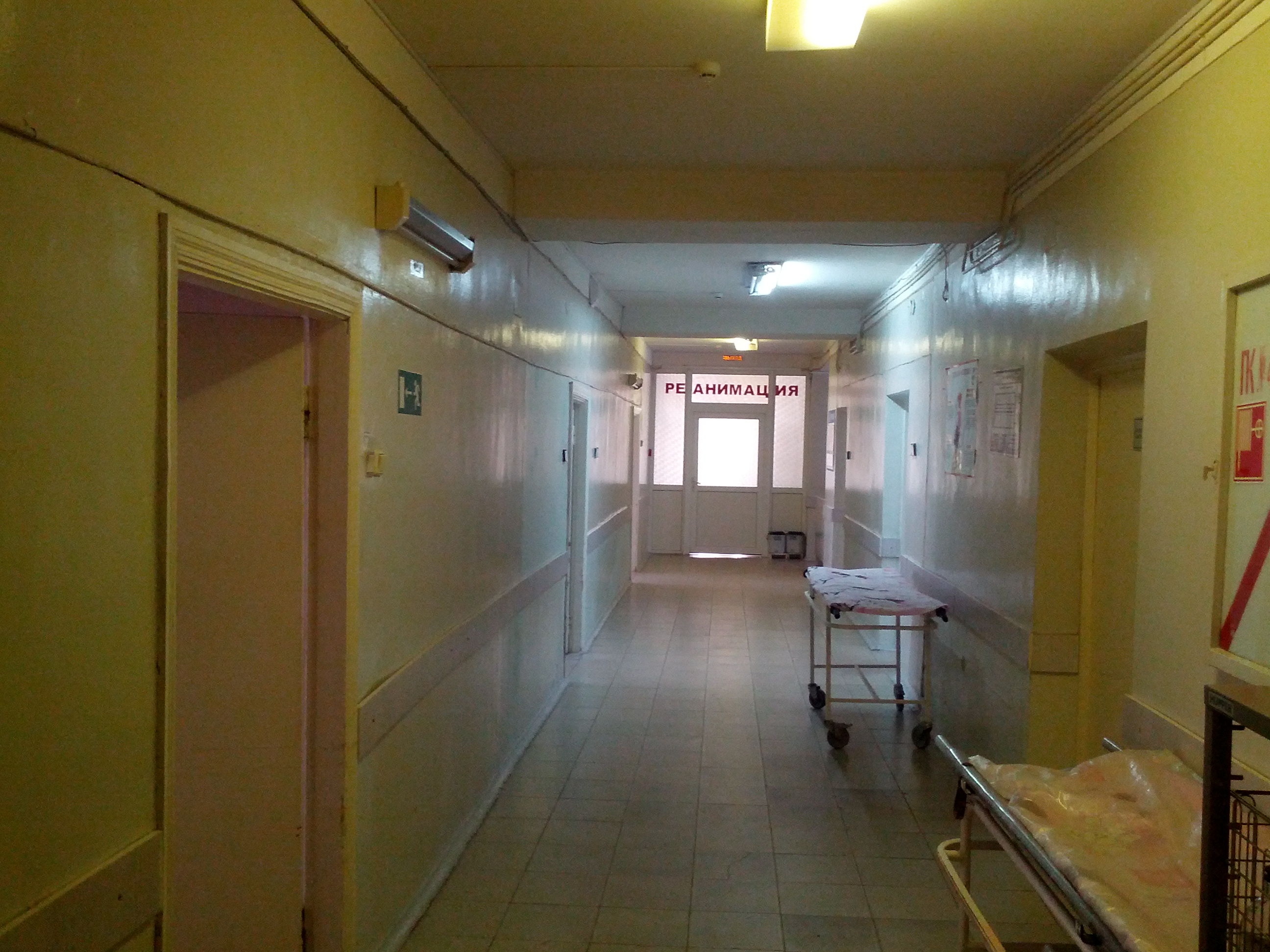 фото больницы электроника воронеж