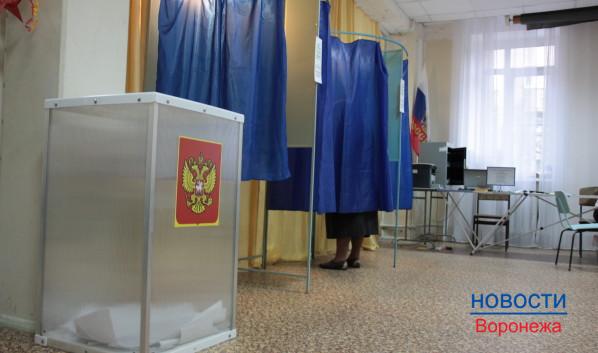 В Воронеже сформировали новую систему выборов в горДуму.