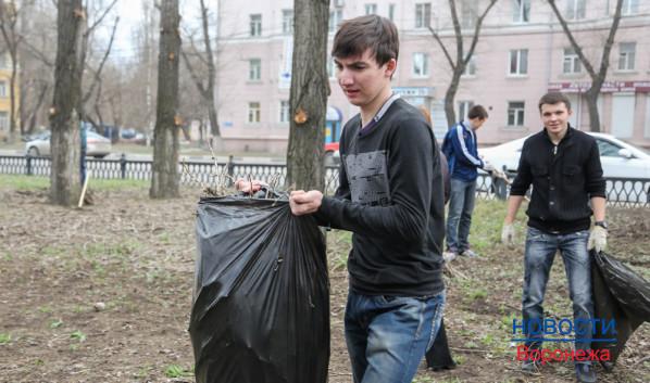 Александр Гусев принял участие в посадке липовой аллеи и уборке мусора.