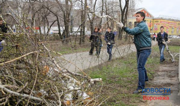 Александр Гусев принял участие в посадке липовой аллеи и уборке мусора.