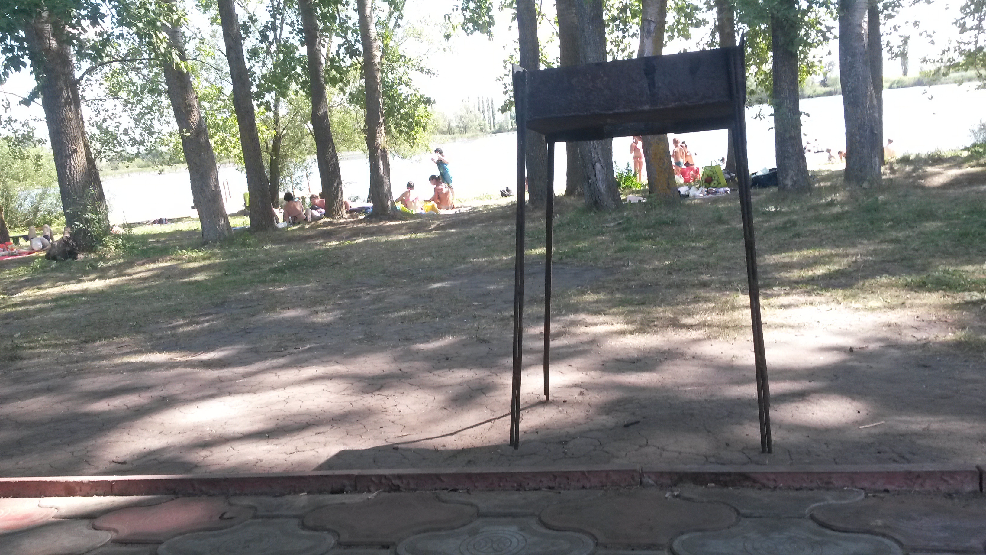В Воронежской области костры можно будет жечь только в специально оборудованных местах.