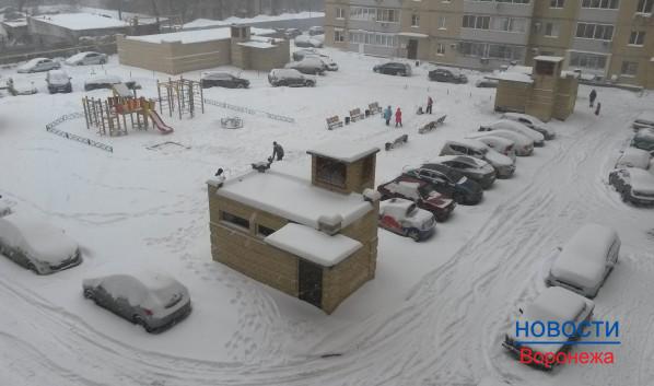 В Воронеже ожидают снегопад.