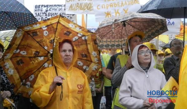 Воронежцы приняли участие в митинге.