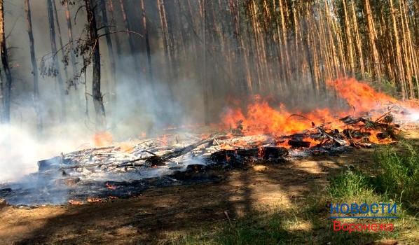 По предварительным данным, горели лесозаготовки.