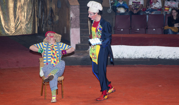 Воронежцы увидят новую цирковую программу «Две звезды».