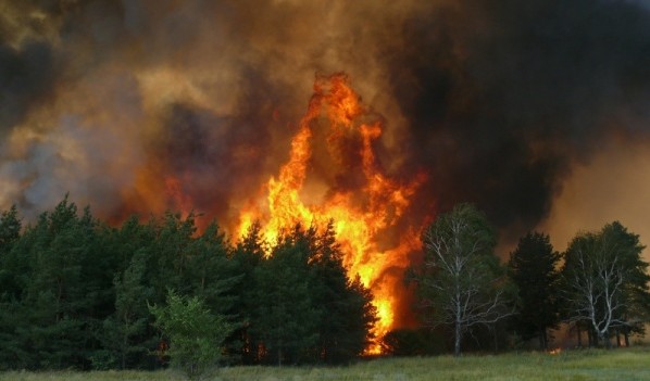 Пожары 2010 года в Воронежской области.