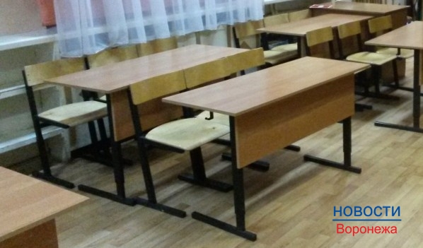 В Воронеже откроют школу для одаренных детей.