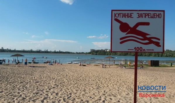 В мэрии призвали организовать посты спасателей даже на пляжах, где запрещено купаться.