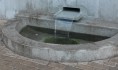 Вода из родника.