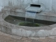 Вода из родника.