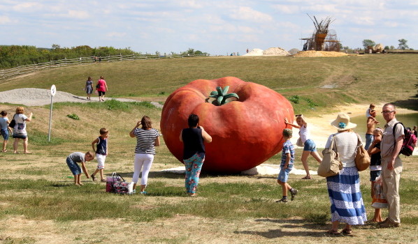 Огромный помидор.