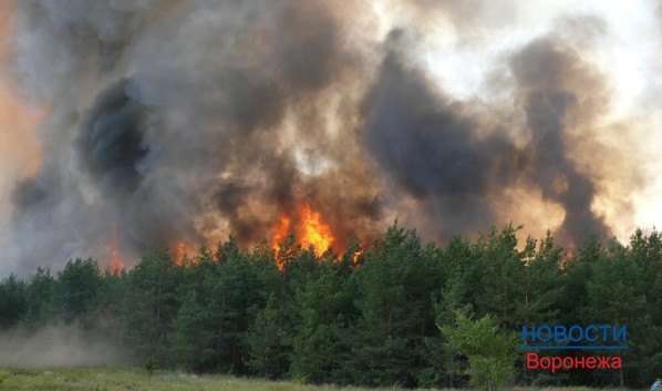 В Воронеже становилась высокая степень пожарной опасности.