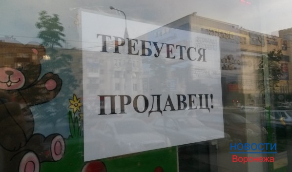 Воронежцы активно ищут работу.