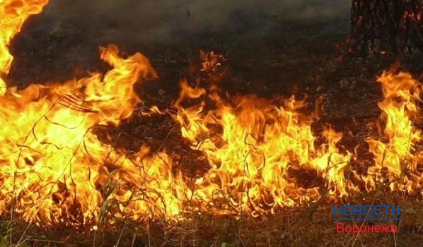 Воронежец спалил сено своей бывшей супруги.
