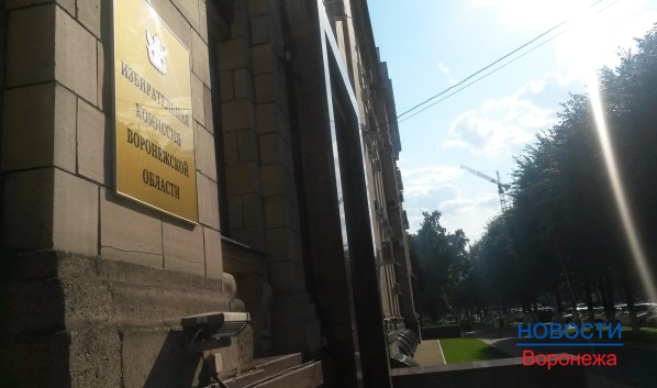 Избирательная комиссия Воронежской области может заинтересоваться скандальной листовкой.