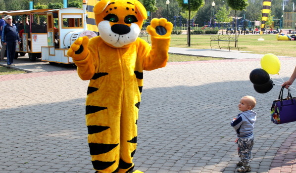 Кот или тигр?