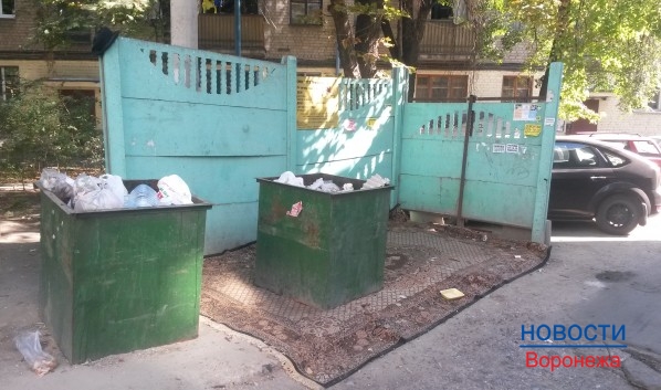 Жители частного сектора выбрасывают мусор в контейнеры многоэтажных домов.