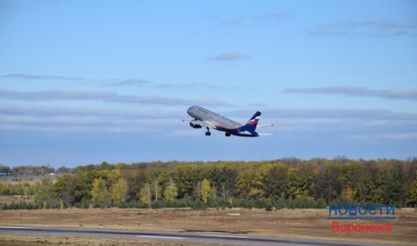 Взлетно-посадочную полосу воронежского аэропорта будут удлинять.