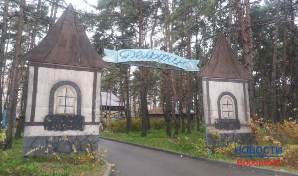 Воронежцы просят благоустроить парк около Северного моста.