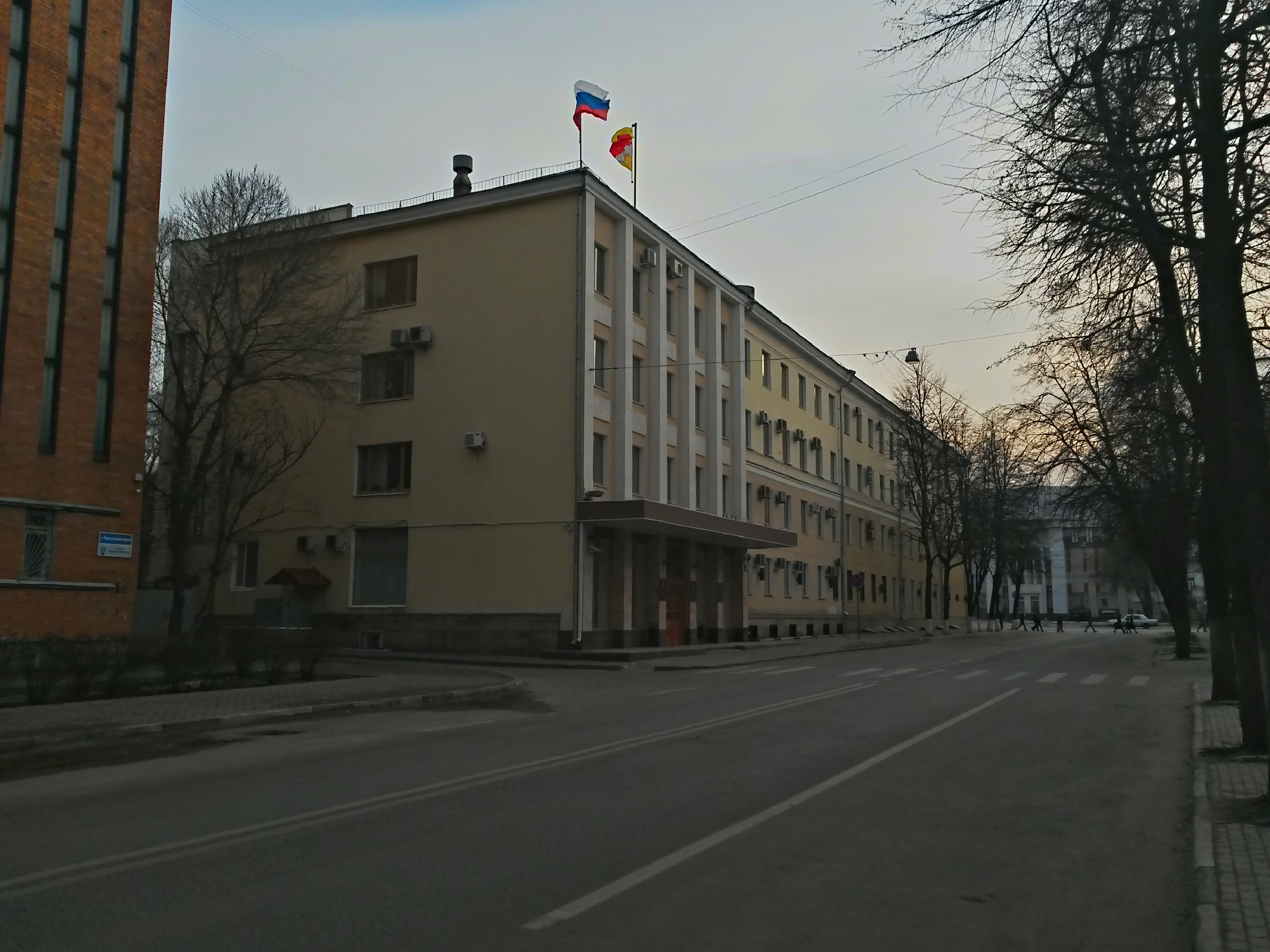 Воронежская городская дума. Воронежская гордума. Городская Дума. Воронежская городская. Четвёртая городская больница Воронеж.