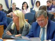 Заседание комиссии по бюджету, экономике, планированию, налоговой политике и инвестициям Воронежской горДумы.