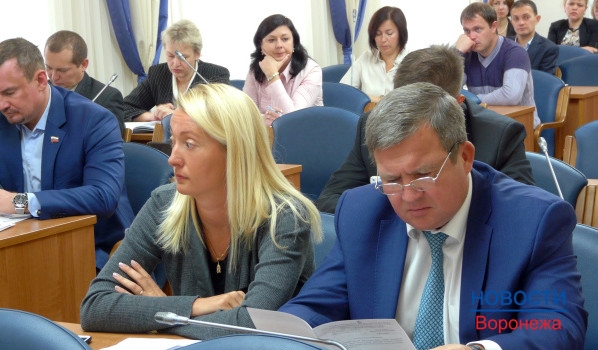 Заседание комиссии по бюджету, экономике, планированию, налоговой политике и инвестициям Воронежской горДумы.