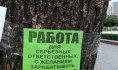 Директора по рекламе и пиар могут зарабатывать до 80 тысяч рублей.