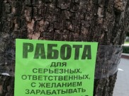 Директора по рекламе и пиар могут зарабатывать до 80 тысяч рублей.