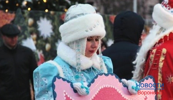 Воронежцы смогут пообщаться со снегурочкой.