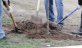 Воронежцы украли саженцы из питомника.