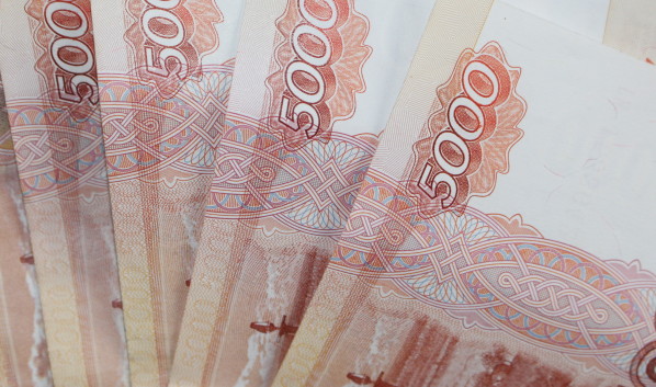 Воронежская область получит деньги на поддержку социально-ориентированных НКО.