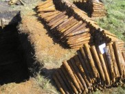 Уничтожили тысячи боеприпасов.