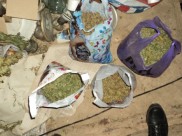 У воронежцев изъяли более 10 кг наркотиков.