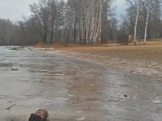 Воронежцев ожидают первые заморозки.
