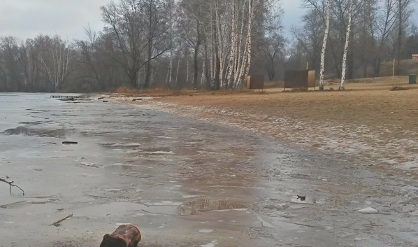 Воронежцев ожидают первые заморозки.