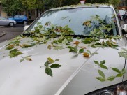 В воскресенье ожидают неблагоприятные погодные условия.