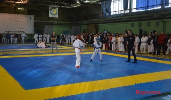 В Воронеже прошел всероссийский турнир по рукопашному бою среди юношей и девушек.